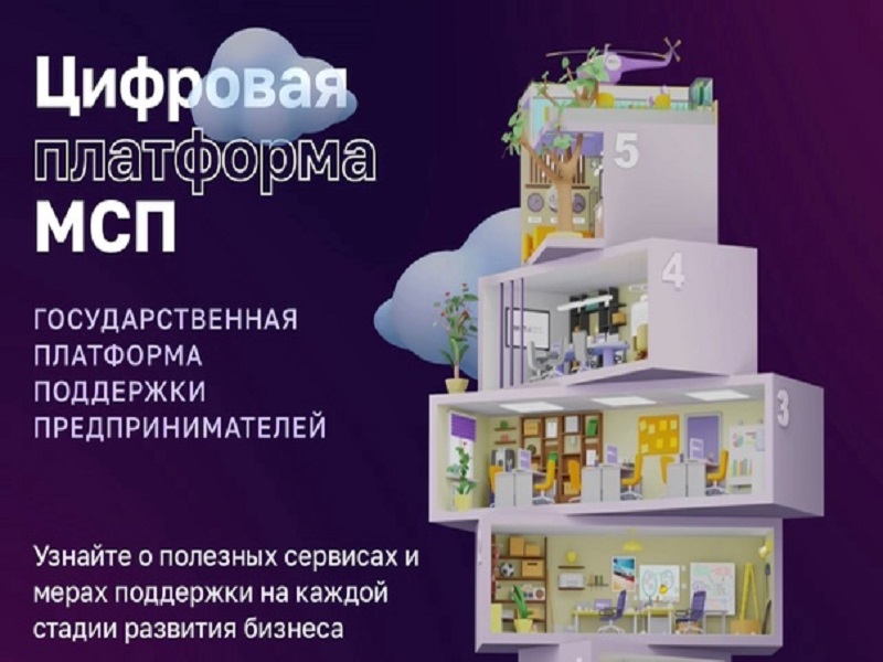 Цифровая платформа МСП.